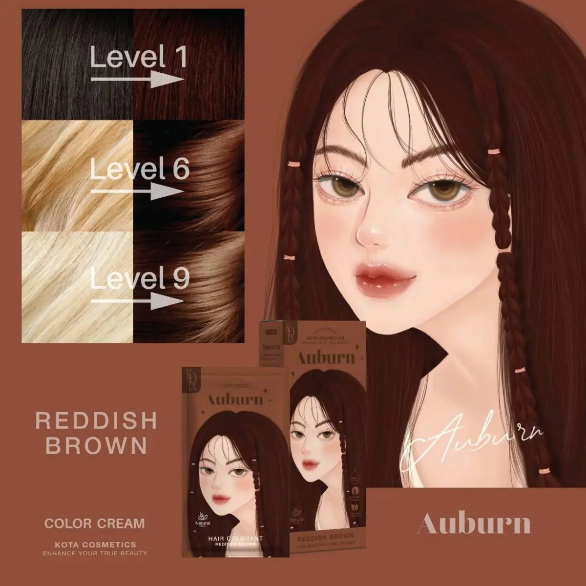 صبغة شعر لون بني محمر كوتا | Kota AUBURN – REDDISH BROWN - Image 4